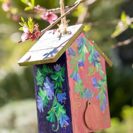 Il Sogno Oda ve Kahvaltı 4*