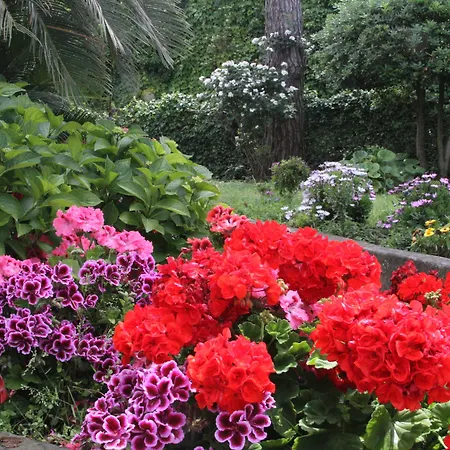 Il Sogno Anacapri (Isola di Capri)