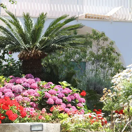 Il Sogno Anacapri (Isola di Capri)