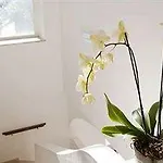فندق مبيت وإفطار Il Sogno 4*