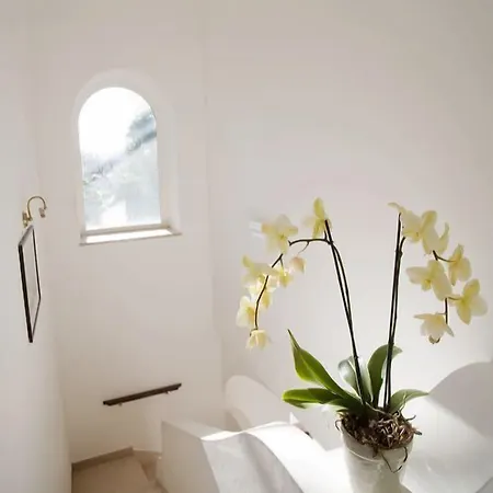 Frühstückspension Il Sogno Anacapri (Isola di Capri)