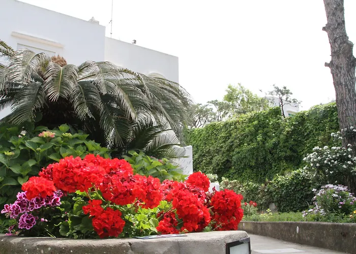 Bed & Breakfast Il Sogno 4*