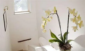 فندق مبيت وإفطار Il Sogno 3*